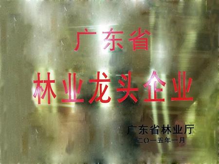    	         	2015年1月，紅古軒當(dāng)選為“廣東省林業(yè)龍頭企業(yè)”   